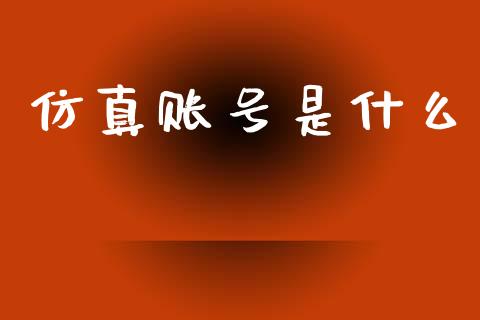 仿真账号是什么_财经_第1张_金融万问站 仿真账号是什么_https://wap.sdxiaoxijinshu.com_财经_第1张