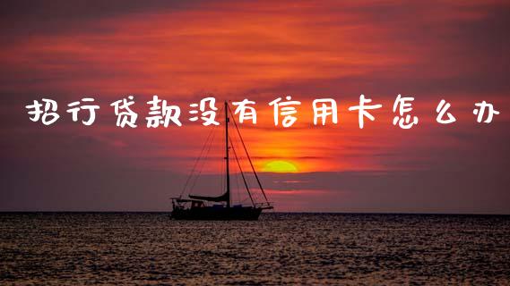 招行贷款没有信用卡怎么办_https://wap.sdxiaoxijinshu.com_金融_第1张