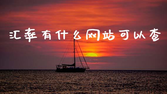 汇率有什么网站可以查_https://wap.sdxiaoxijinshu.com_财经_第1张