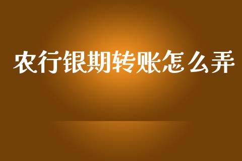 农行银期转账怎么弄_https://wap.sdxiaoxijinshu.com_期货_第1张