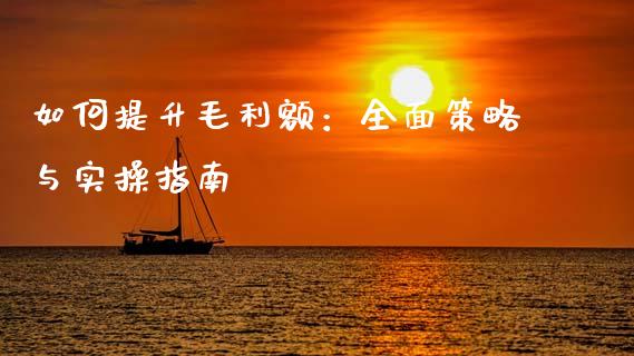 如何提升毛利额：全面策略与实操指南_https://wap.sdxiaoxijinshu.com_财经_第1张