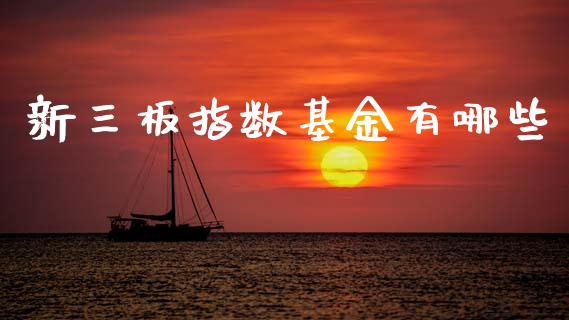 新三板指数基金有哪些_https://wap.sdxiaoxijinshu.com_财经_第1张