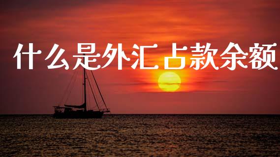 什么是外汇占款余额_https://wap.sdxiaoxijinshu.com_财经_第1张
