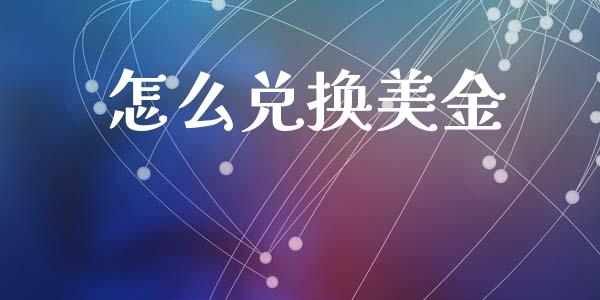 怎么兑换美金_https://wap.sdxiaoxijinshu.com_理财_第1张