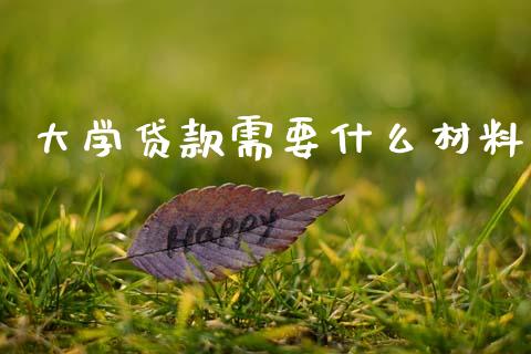 大学贷款需要什么材料_https://wap.sdxiaoxijinshu.com_理财_第1张