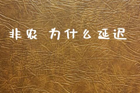非农 为什么延迟_https://wap.sdxiaoxijinshu.com_财经_第1张