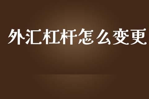 外汇杠杆怎么变更_https://wap.sdxiaoxijinshu.com_财经_第1张