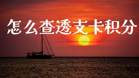 怎么查透支卡积分_https://wap.sdxiaoxijinshu.com_期货_第1张