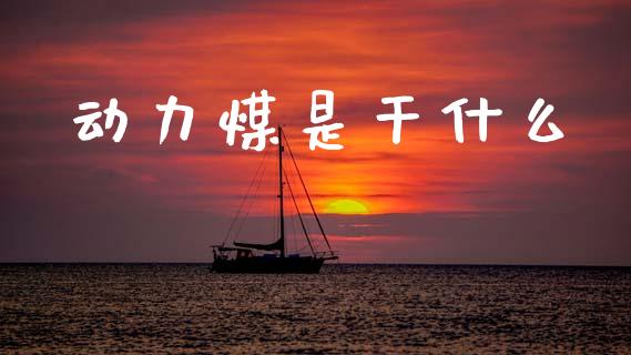 动力煤是干什么_https://wap.sdxiaoxijinshu.com_金融_第1张