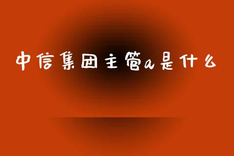 中信集团主管a是什么_https://wap.sdxiaoxijinshu.com_理财_第1张