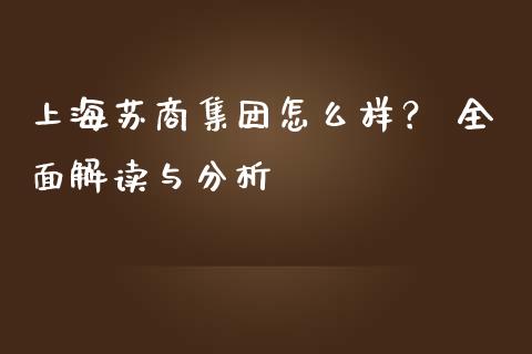上海苏商集团怎么样？ 全面解读与分析_https://wap.sdxiaoxijinshu.com_财经_第1张