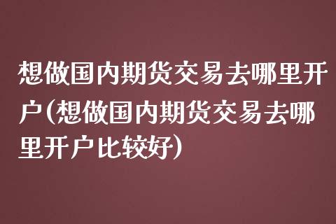 想做国内期货交易去哪里开户(想做国内期货交易去哪里开户比较好)_https://wap.sdxiaoxijinshu.com_金融_第1张