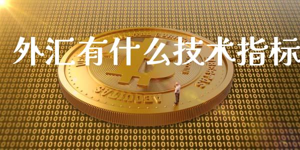 外汇有什么技术指标_https://wap.sdxiaoxijinshu.com_财经_第1张