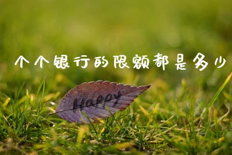 个个银行的限额都是多少_https://wap.sdxiaoxijinshu.com_理财_第1张