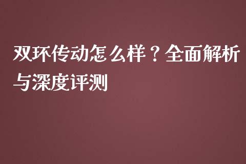 双环传动怎么样？全面解析与深度评测_https://wap.sdxiaoxijinshu.com_财经_第1张