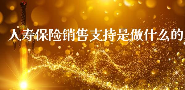 人寿保险销售支持是做什么的_https://wap.sdxiaoxijinshu.com_理财_第1张