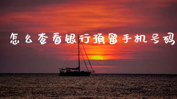 怎么查看银行预留手机号码_https://wap.sdxiaoxijinshu.com_金融_第1张