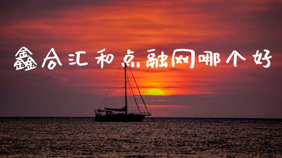 鑫合汇和点融网哪个好_https://wap.sdxiaoxijinshu.com_理财_第1张