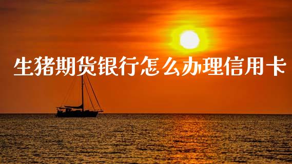 生猪期货银行怎么办理信用卡_https://wap.sdxiaoxijinshu.com_期货_第1张
