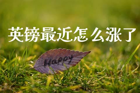 英镑最近怎么涨了_https://wap.sdxiaoxijinshu.com_财经_第1张