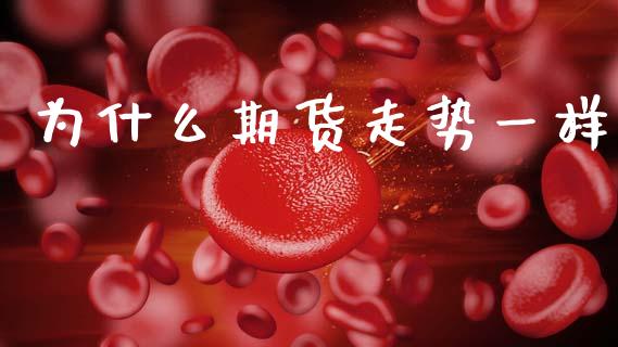 为什么期货走势一样_https://wap.sdxiaoxijinshu.com_期货_第1张