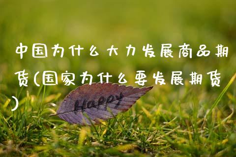 中国为什么大力发展商品期货(国家为什么要发展期货)_https://wap.sdxiaoxijinshu.com_期货_第1张