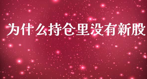 为什么持仓里没有新股_https://wap.sdxiaoxijinshu.com_理财_第1张