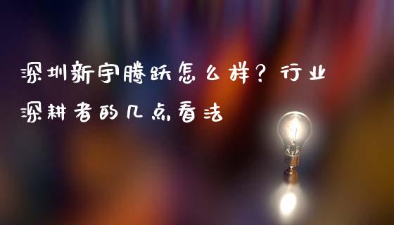 深圳新宇腾跃怎么样？行业深耕者的几点看法_https://wap.sdxiaoxijinshu.com_金融_第1张