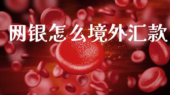 网银怎么境外汇款_https://wap.sdxiaoxijinshu.com_财经_第1张