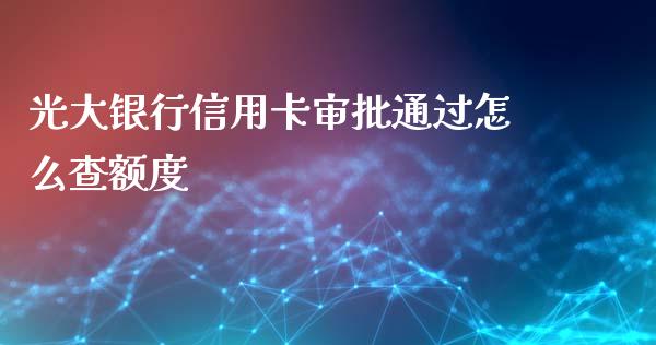 光大银行信用卡审批通过怎么查额度_https://wap.sdxiaoxijinshu.com_金融_第1张