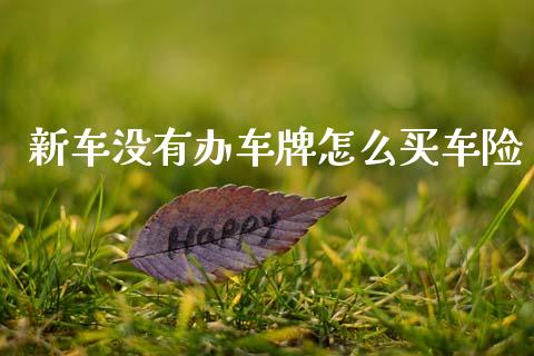 新车没有办车牌怎么买车险_https://wap.sdxiaoxijinshu.com_金融_第1张