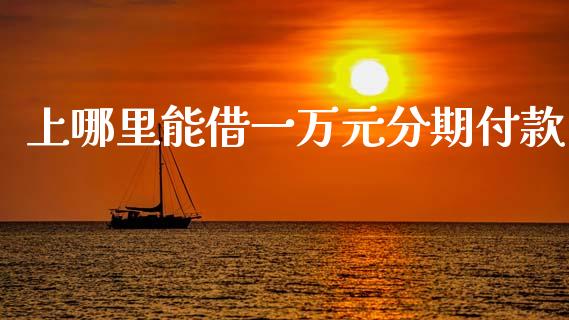 上哪里能借一万元分期付款_https://wap.sdxiaoxijinshu.com_理财_第1张