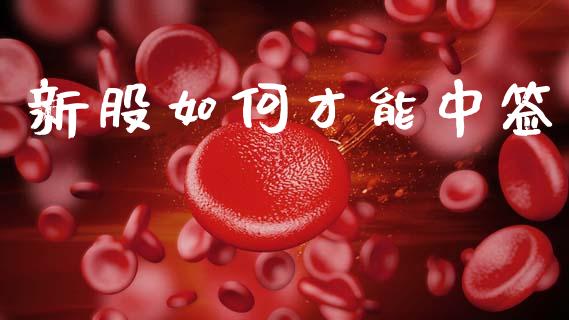 新股如何才能中签_https://wap.sdxiaoxijinshu.com_财经_第1张