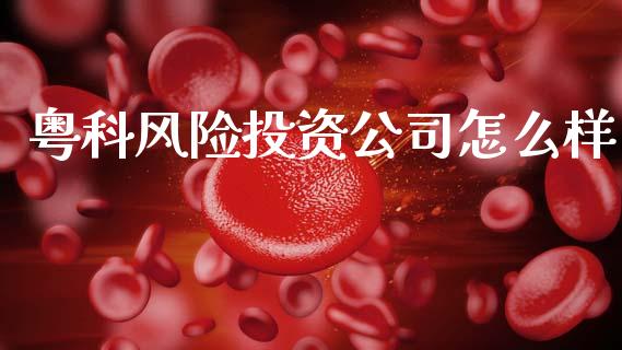 粤科风险投资公司怎么样_https://wap.sdxiaoxijinshu.com_金融_第1张