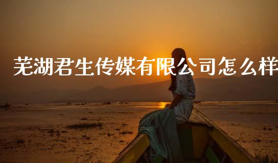 芜湖君生传媒有限公司怎么样_https://wap.sdxiaoxijinshu.com_金融_第1张