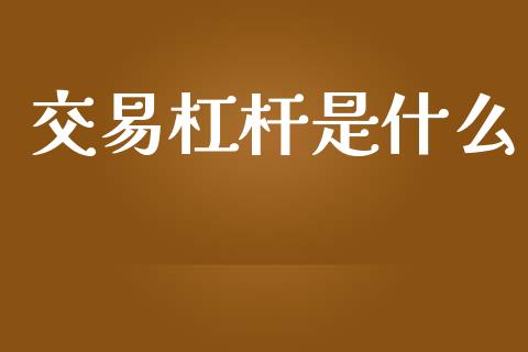 交易杠杆是什么_https://wap.sdxiaoxijinshu.com_期货_第1张