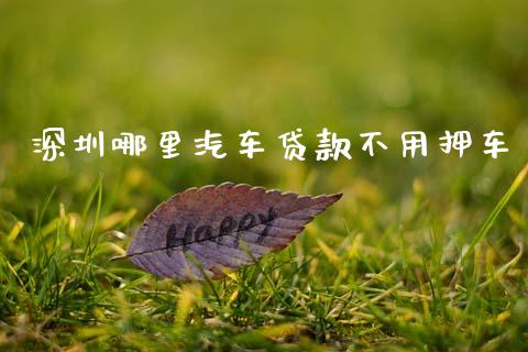 深圳哪里汽车贷款不用押车_https://wap.sdxiaoxijinshu.com_理财_第1张