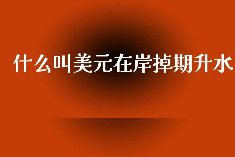 什么叫美元在岸掉期升水_https://wap.sdxiaoxijinshu.com_理财_第1张