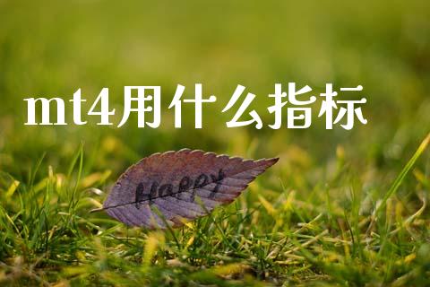mt4用什么指标_https://wap.sdxiaoxijinshu.com_财经_第1张