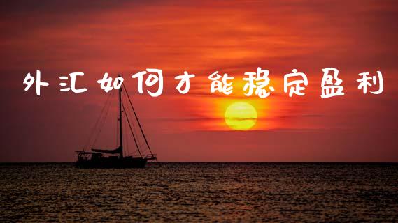 外汇如何才能稳定盈利_https://wap.sdxiaoxijinshu.com_财经_第1张