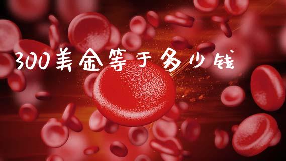 300美金等于多少钱_https://wap.sdxiaoxijinshu.com_财经_第1张