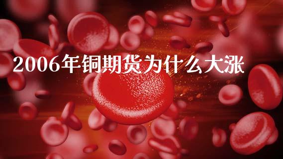 2006年铜期货为什么大涨_https://wap.sdxiaoxijinshu.com_理财_第1张