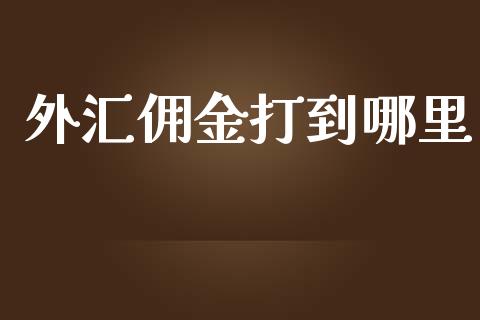 外汇佣金打到哪里_https://wap.sdxiaoxijinshu.com_财经_第1张