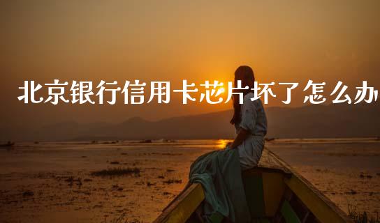 北京银行信用卡芯片坏了怎么办_https://wap.sdxiaoxijinshu.com_金融_第1张