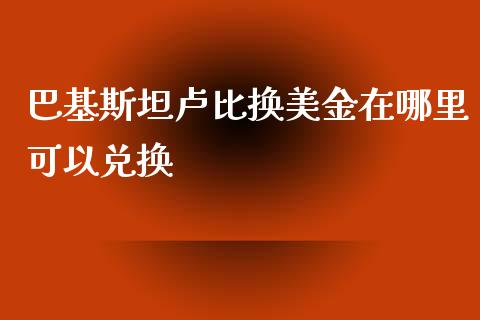 巴基斯坦卢比换美金在哪里可以兑换_https://wap.sdxiaoxijinshu.com_财经_第1张