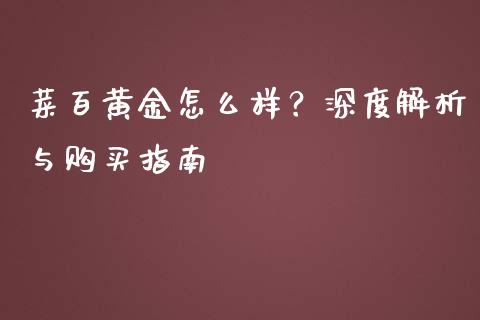 菜百黄金怎么样？深度解析与购买指南_https://wap.sdxiaoxijinshu.com_金融_第1张
