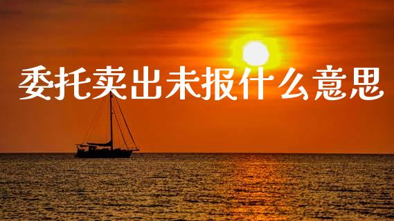 委托卖出未报什么意思_https://wap.sdxiaoxijinshu.com_理财_第1张