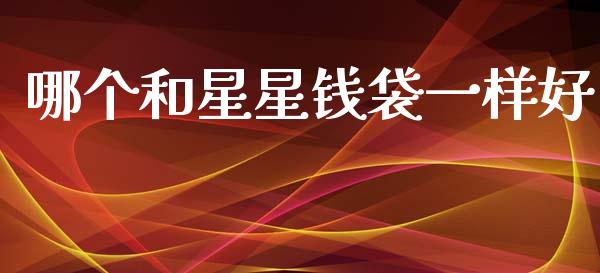 哪个和星星钱袋一样好_https://wap.sdxiaoxijinshu.com_理财_第1张