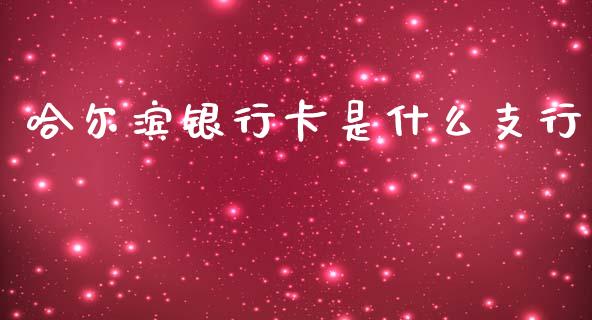 哈尔滨银行卡是什么支行_https://wap.sdxiaoxijinshu.com_金融_第1张