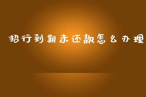 招行到期未还款怎么办理_https://wap.sdxiaoxijinshu.com_金融_第1张